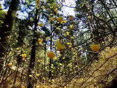 焼森山雷神神社の自然