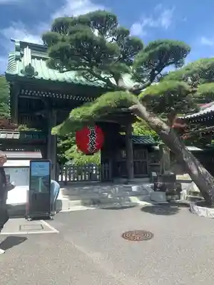 長谷寺の山門・神門