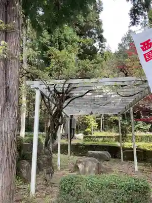 洞泉寺(岐阜県)