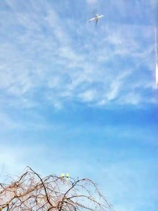 圓照寺(東京都)