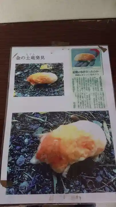 下野 星宮神社の動物