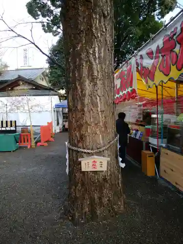 田無神社(東京都)