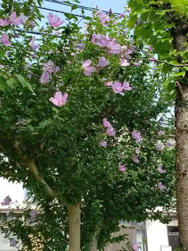 熊野神社の自然