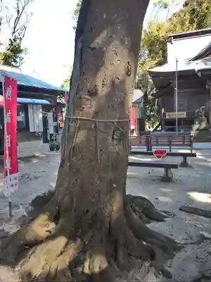 堀出神社(茨城県)