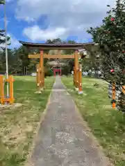 椿神社の鳥居