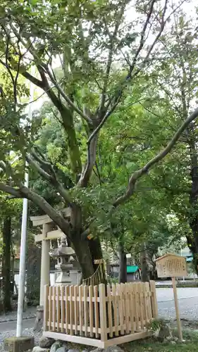 前島神社の自然