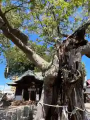 阿邪訶根神社(福島県)