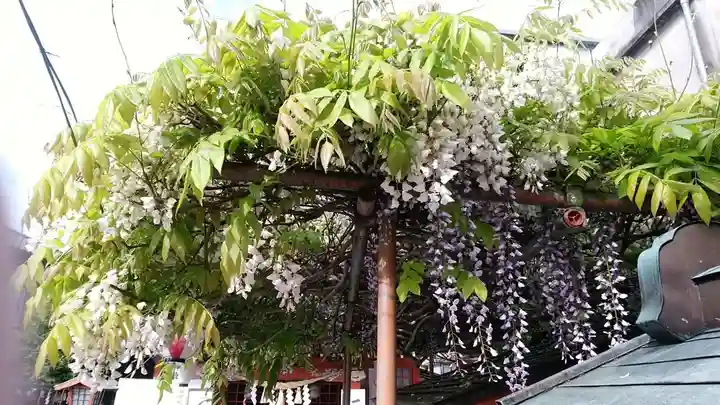大牟田神社の自然
