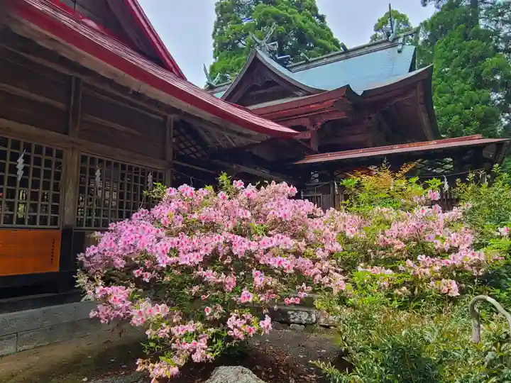 男成神社(熊本県)