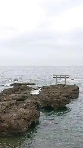 大洗磯前神社の自然