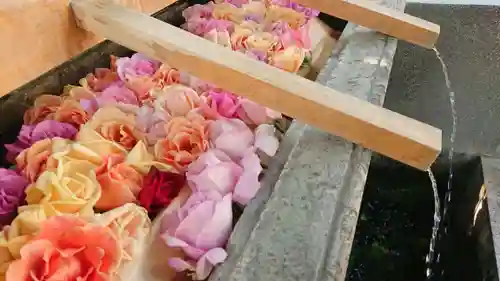 鳩ヶ谷氷川神社の手水