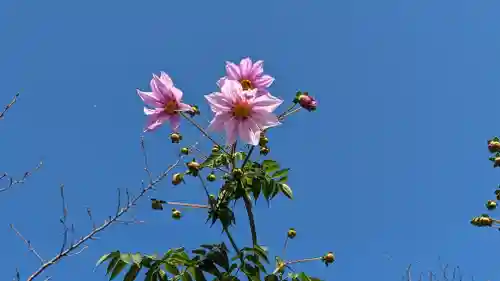 勧修寺(京都府)
