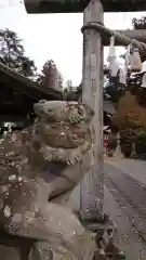 小鹿神社の狛犬