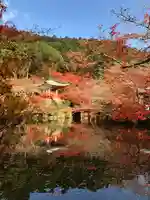 醍醐寺の庭園