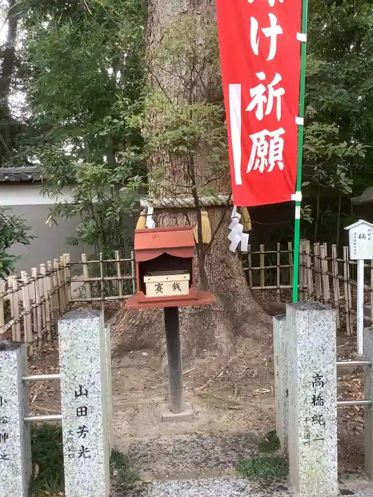 富部神社の自然