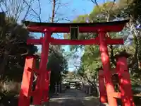 峯ヶ岡八幡神社の鳥居