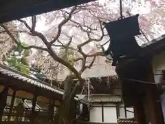 十輪寺の建物その他