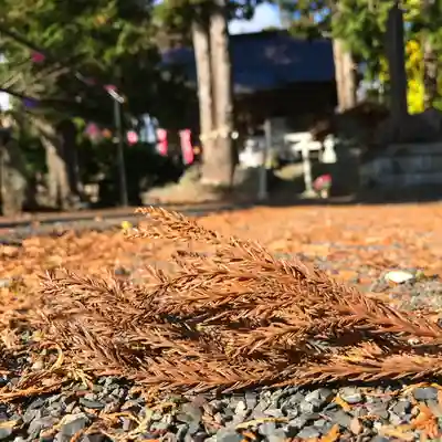 高司神社〜むすびの神の鎮まる社〜のその他建物