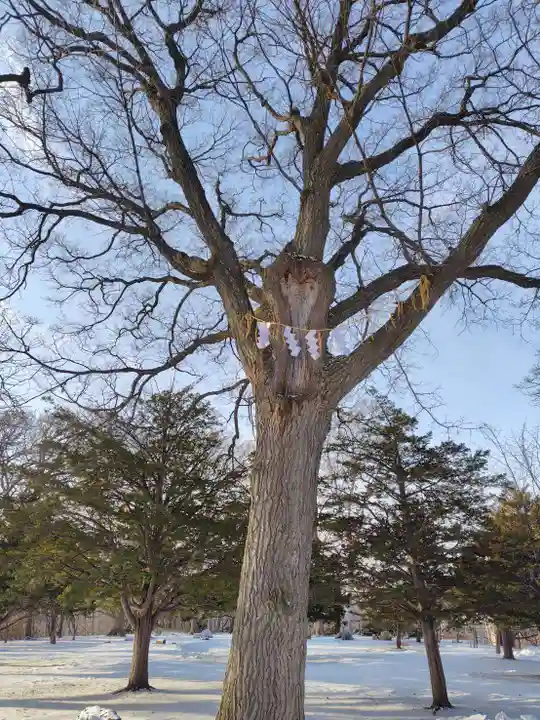 厚別神社(北海道)