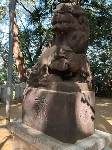 浅間神社の狛犬