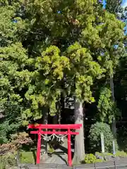 須山浅間神社(静岡県)