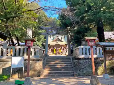 安房神社の鳥居