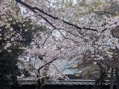 靖國神社(東京都)