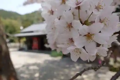 海住山寺の自然