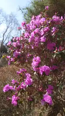 相馬神社(北海道)