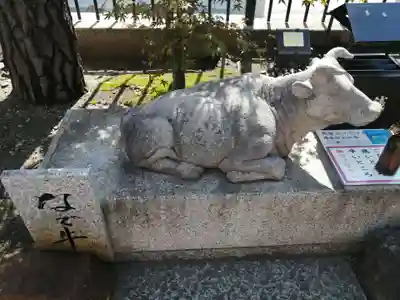 六波羅蜜寺の狛犬