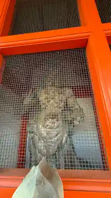 妙法寺(京都府)