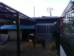 立石熊野神社の動物