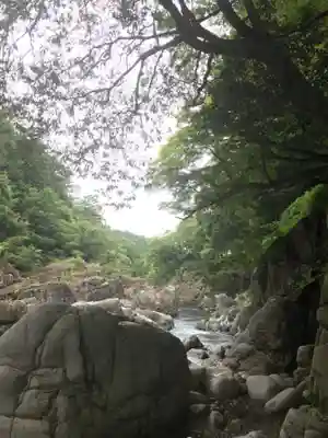 大瀧神社の自然