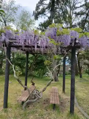 山之下神明宮(新潟県)