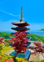 総本山 本福寺のその他建物