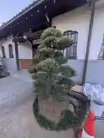 本通寺(東京都)