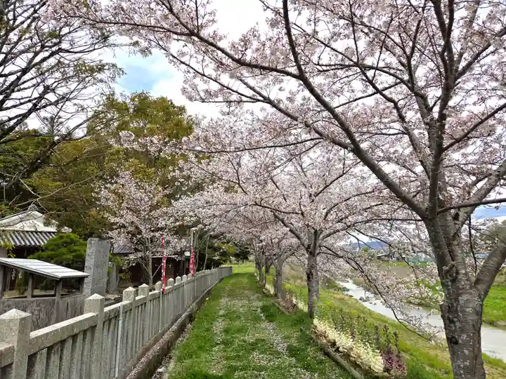 押部谷住吉神社の自然