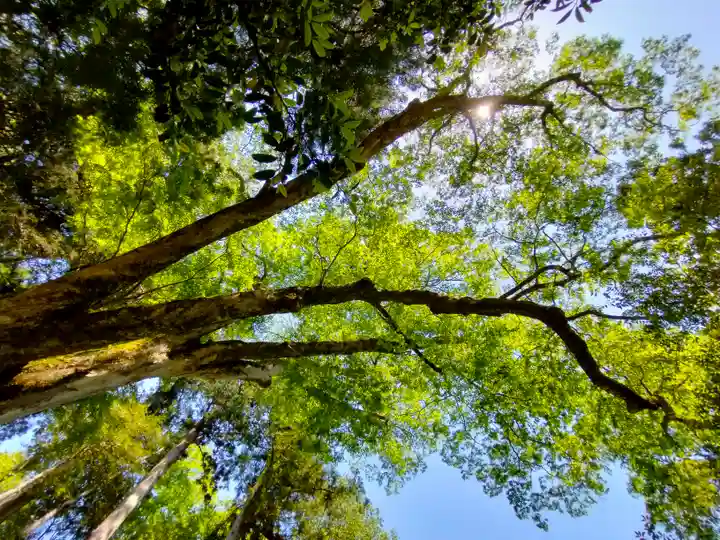 丹生川上神社(下社)(奈良県)