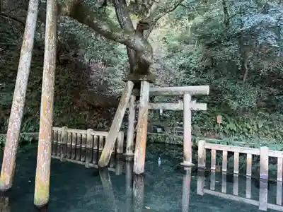 鹿島神宮(茨城県)