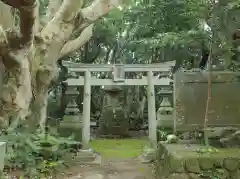 渡海神社の鳥居