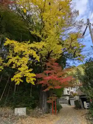 華厳寺(岐阜県)