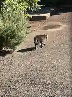 真城院(新潟県)