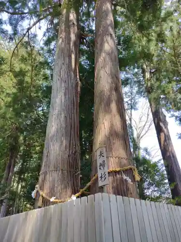 乳峯神社(三重県)