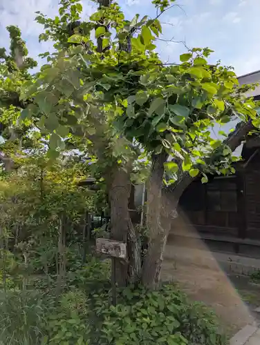 如来寺(兵庫県)