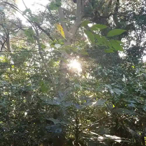 降之神社の自然