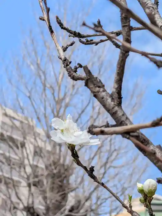 小野照崎神社(東京都)