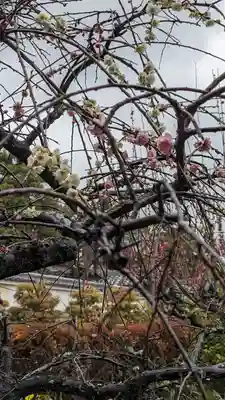 正法寺(京都府)