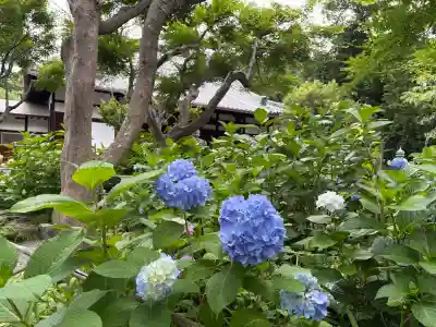 頼光寺(兵庫県)