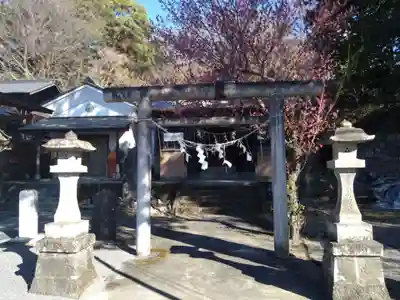 賀茂別雷神社(栃木県)