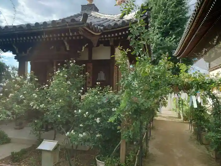 おふさ観音(観音寺)(奈良県)